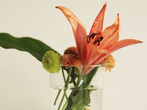 Preview wallpaper flowers, bouquet, glass, decor, aesthetics