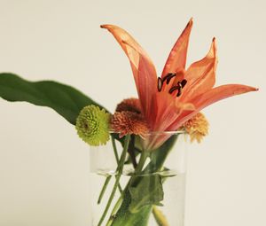 Preview wallpaper flowers, bouquet, glass, decor, aesthetics