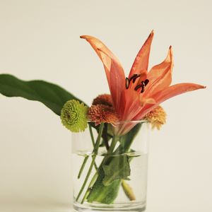 Preview wallpaper flowers, bouquet, glass, decor, aesthetics