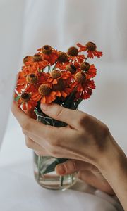 Preview wallpaper flowers, bouquet, hand, fingers, cloth