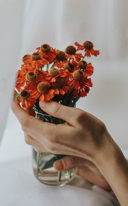 Preview wallpaper flowers, bouquet, hand, fingers, cloth