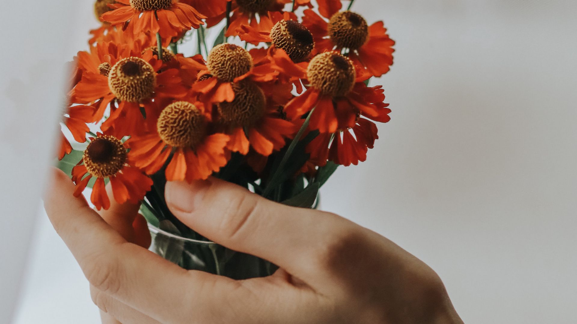 Download wallpaper 1920x1080 flowers, bouquet, hand, fingers, cloth