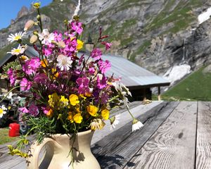 Preview wallpaper flowers, bouquet, jug, nature, aesthetics
