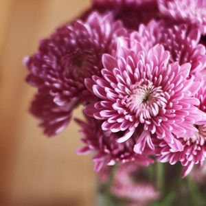 Preview wallpaper flowers, bouquet, macro