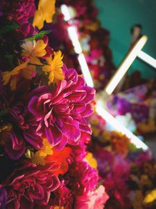 Preview wallpaper flowers, bouquet, neon, light