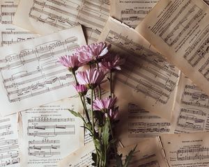 Preview wallpaper flowers, bouquet, notes