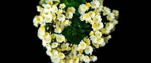 Preview wallpaper flowers, bouquet, petals, leaves, yellow