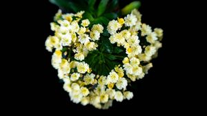Preview wallpaper flowers, bouquet, petals, leaves, yellow