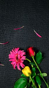 Preview wallpaper flowers, bouquet, petals, pink, red, yellow