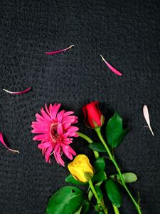 Preview wallpaper flowers, bouquet, petals, pink, red, yellow