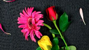 Preview wallpaper flowers, bouquet, petals, pink, red, yellow
