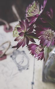 Preview wallpaper flowers, bouquet, petals, composition