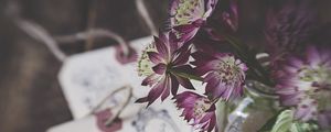 Preview wallpaper flowers, bouquet, petals, composition