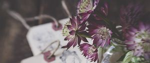 Preview wallpaper flowers, bouquet, petals, composition