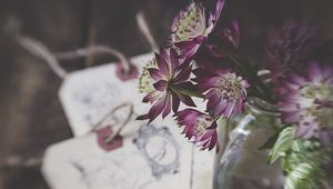 Preview wallpaper flowers, bouquet, petals, composition
