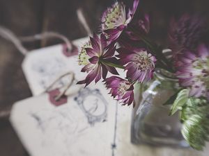 Preview wallpaper flowers, bouquet, petals, composition
