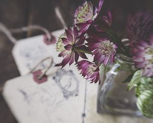Preview wallpaper flowers, bouquet, petals, composition