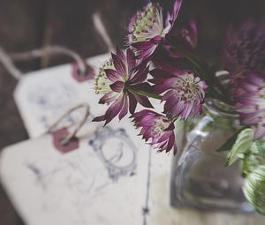 Preview wallpaper flowers, bouquet, petals, composition