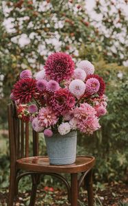 Preview wallpaper flowers, bouquet, pink, composition, pot, chair