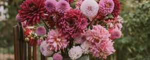 Preview wallpaper flowers, bouquet, pink, composition, pot, chair