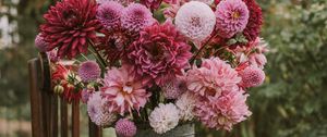 Preview wallpaper flowers, bouquet, pink, composition, pot, chair