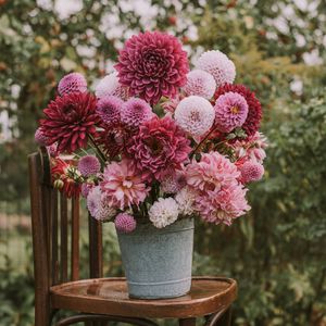 Preview wallpaper flowers, bouquet, pink, composition, pot, chair