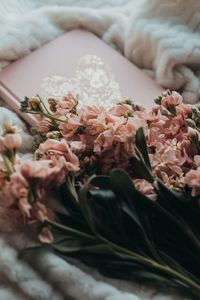 Preview wallpaper flowers, bouquet, pink, book, plaid