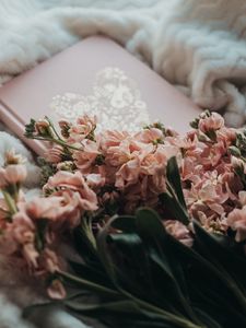 Preview wallpaper flowers, bouquet, pink, book, plaid