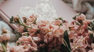 Preview wallpaper flowers, bouquet, pink, book, plaid