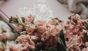 Preview wallpaper flowers, bouquet, pink, book, plaid