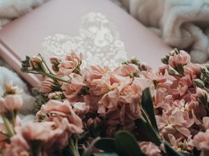 Preview wallpaper flowers, bouquet, pink, book, plaid