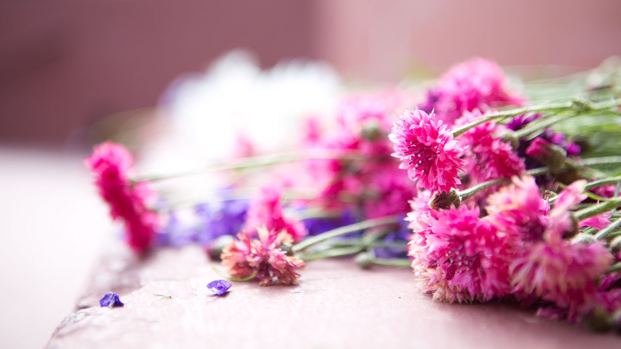 Wallpaper flowers, bouquet, pink