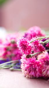 Preview wallpaper flowers, bouquet, pink