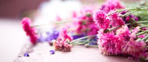 Preview wallpaper flowers, bouquet, pink