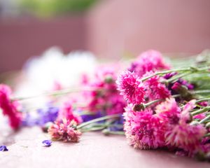 Preview wallpaper flowers, bouquet, pink