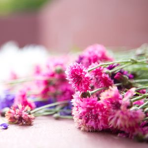 Preview wallpaper flowers, bouquet, pink