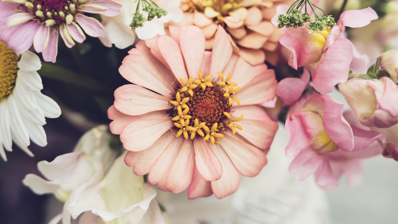 Wallpaper flowers, bouquet, pollen, blur