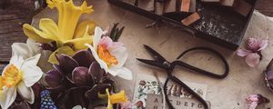 Preview wallpaper flowers, bouquet, scissors, cards, aesthetics