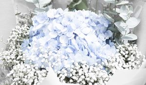 Preview wallpaper flowers, bouquet, tenderness