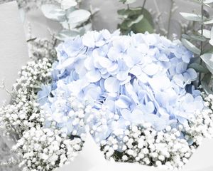 Preview wallpaper flowers, bouquet, tenderness