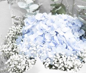 Preview wallpaper flowers, bouquet, tenderness