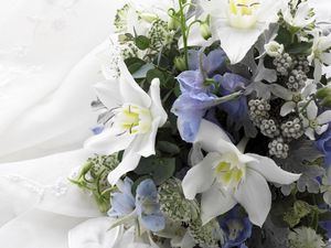 Preview wallpaper flowers, bouquet, tenderness, composition