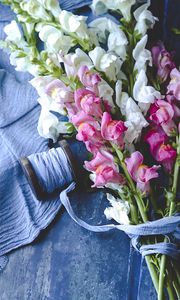 Preview wallpaper flowers, bouquet, thread, pink, white