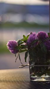 Preview wallpaper flowers, bouquet, vase, buds