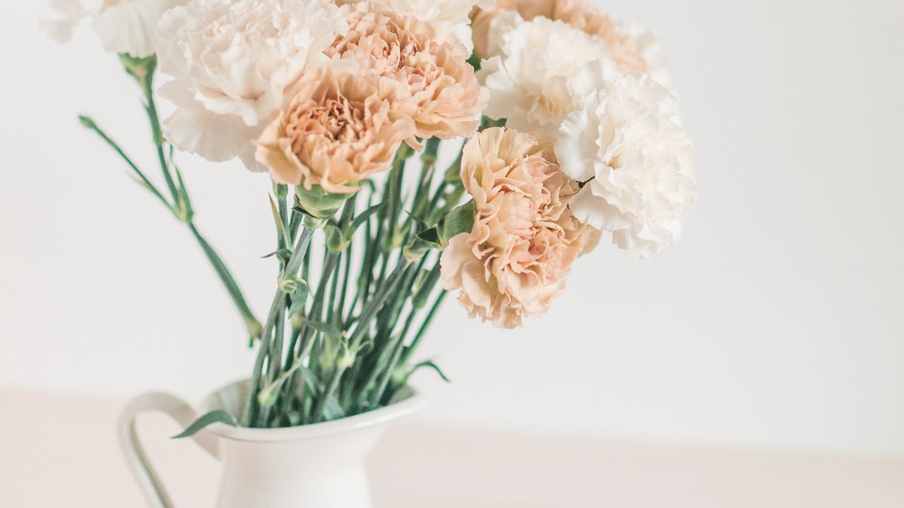 Wallpaper flowers, bouquet, vase, white, light