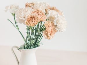 Preview wallpaper flowers, bouquet, vase, white, light