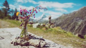 Preview wallpaper flowers, bouquet, vase, stones, nature