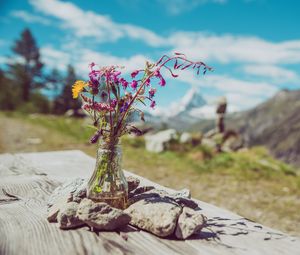 Preview wallpaper flowers, bouquet, vase, stones, nature