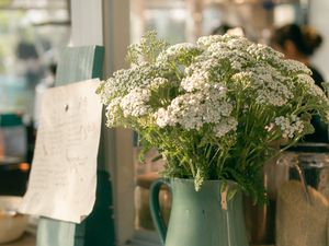 Preview wallpaper flowers, bouquet, vase, light
