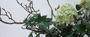 Preview wallpaper flowers, bouquet, vase, aesthetics, composition
